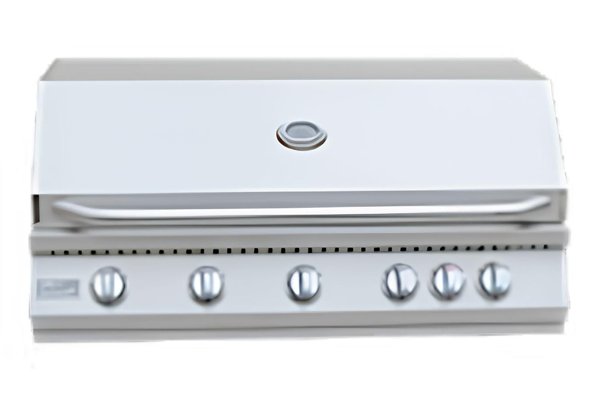 5 Burner Built-In Stainless Steel Propane Gas Grill with Back Burner W53664