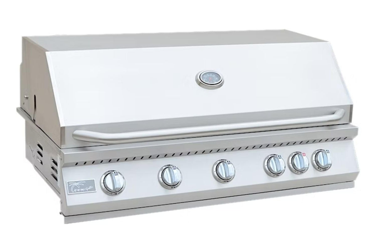 5 Burner Built-In Stainless Steel Propane Gas Grill with Back Burner W53664