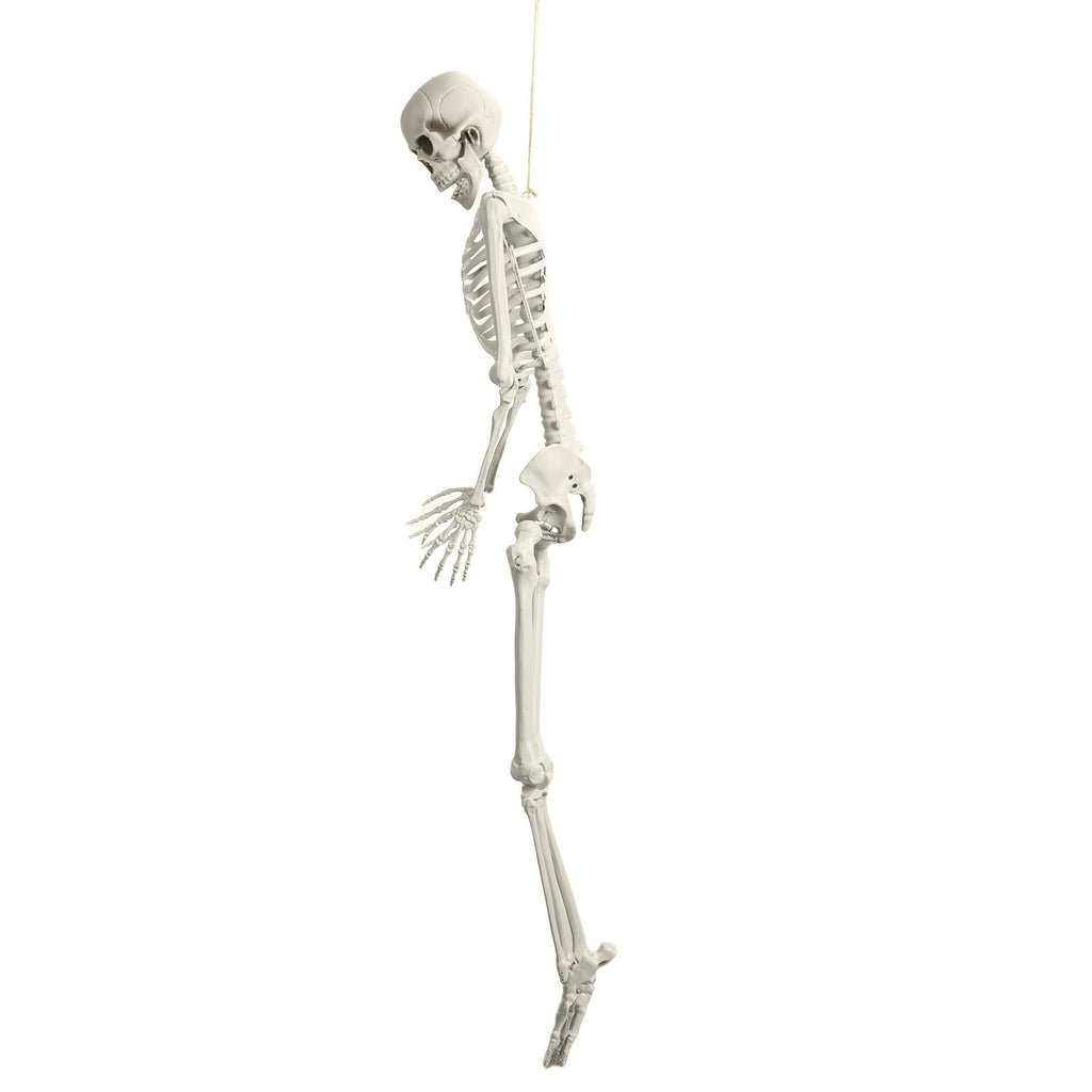 Life Size Halloween Skeleton Z73018