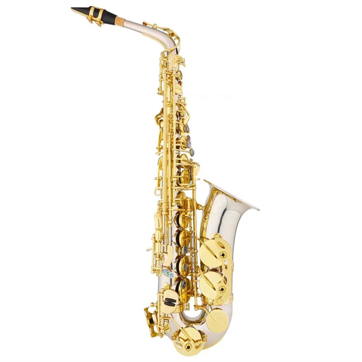 E Flat Alto Saxophone Wind Instrument S403119
