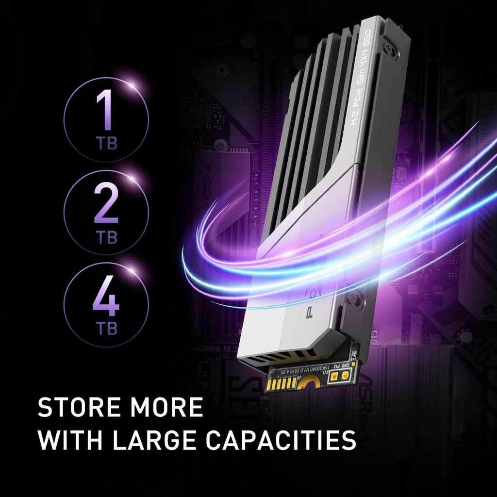 4TB PCIe Gen4 M.2 2280 SSD with PS5 Heatsink H462
