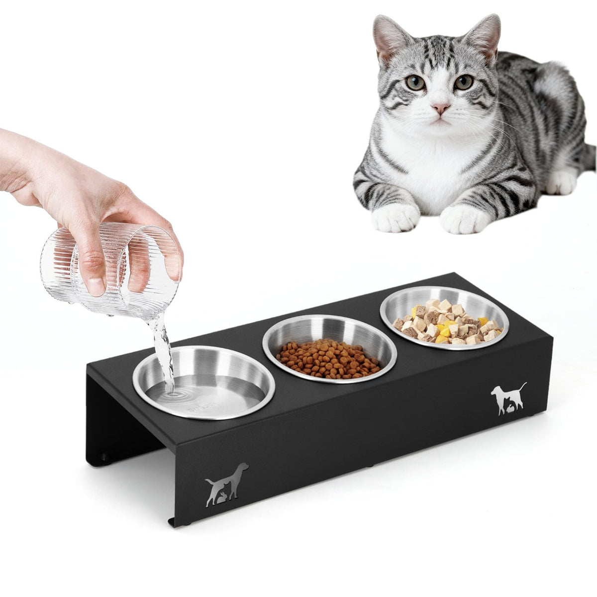 15° Tilted Stainless Steel Cat Bowls 3 Pack M85445