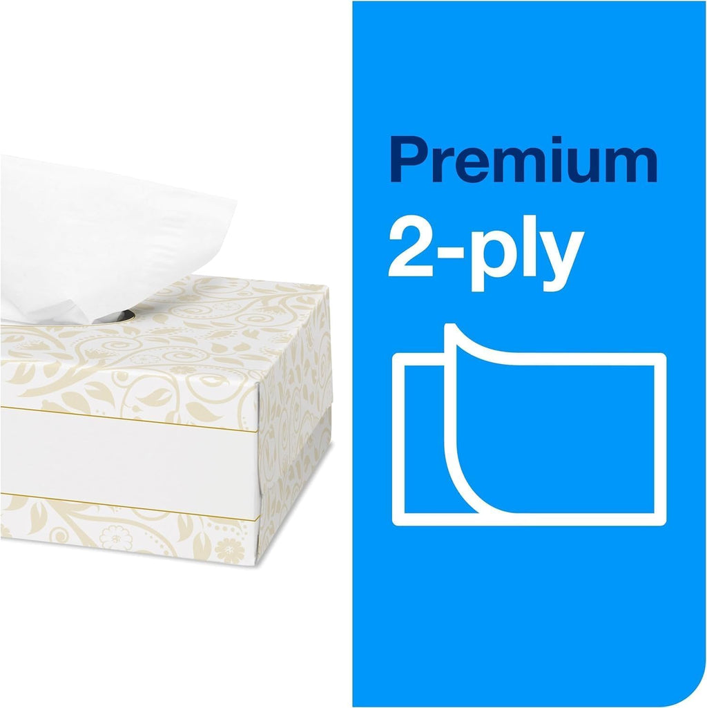 Natural Paper Hand Towel Roll and White 2-Ply Facial Tissue L2169