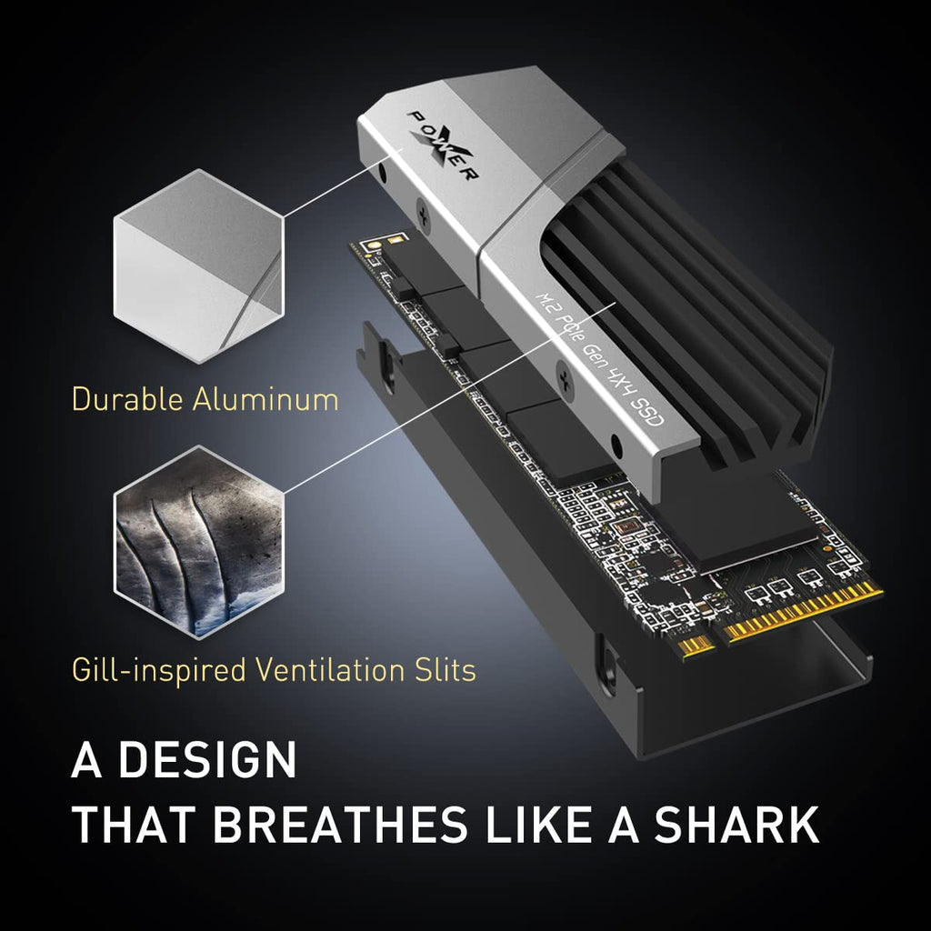 4TB PCIe Gen4 M.2 2280 SSD with PS5 Heatsink H462