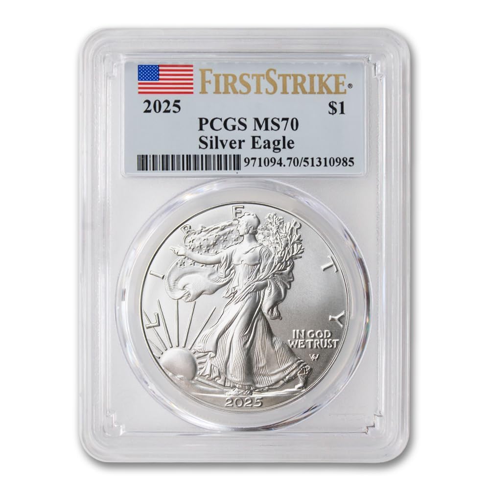 1 oz American Silver Eagle Coin MS-70 E342