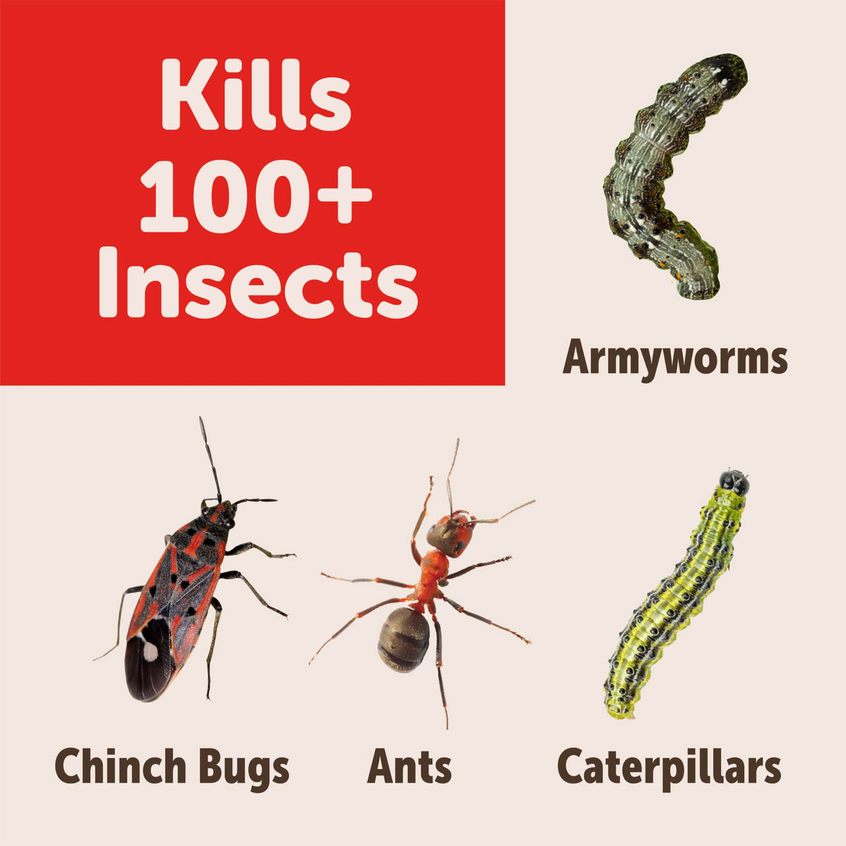 Garden Insect Killer Granules P229500