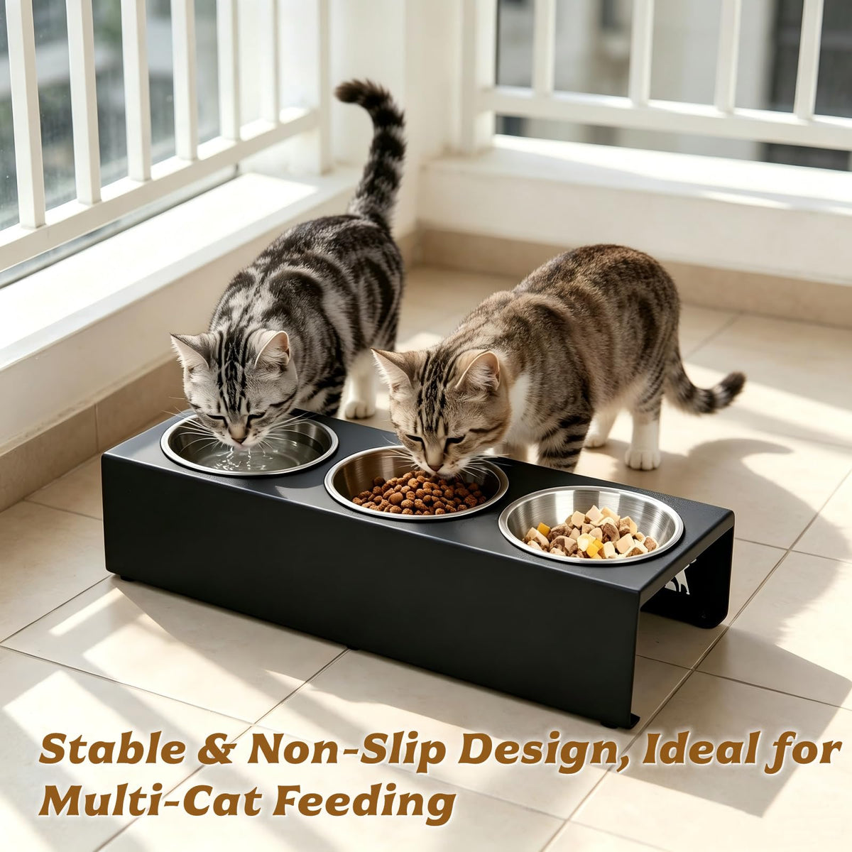 15° Tilted Stainless Steel Cat Bowls 3 Pack M85445