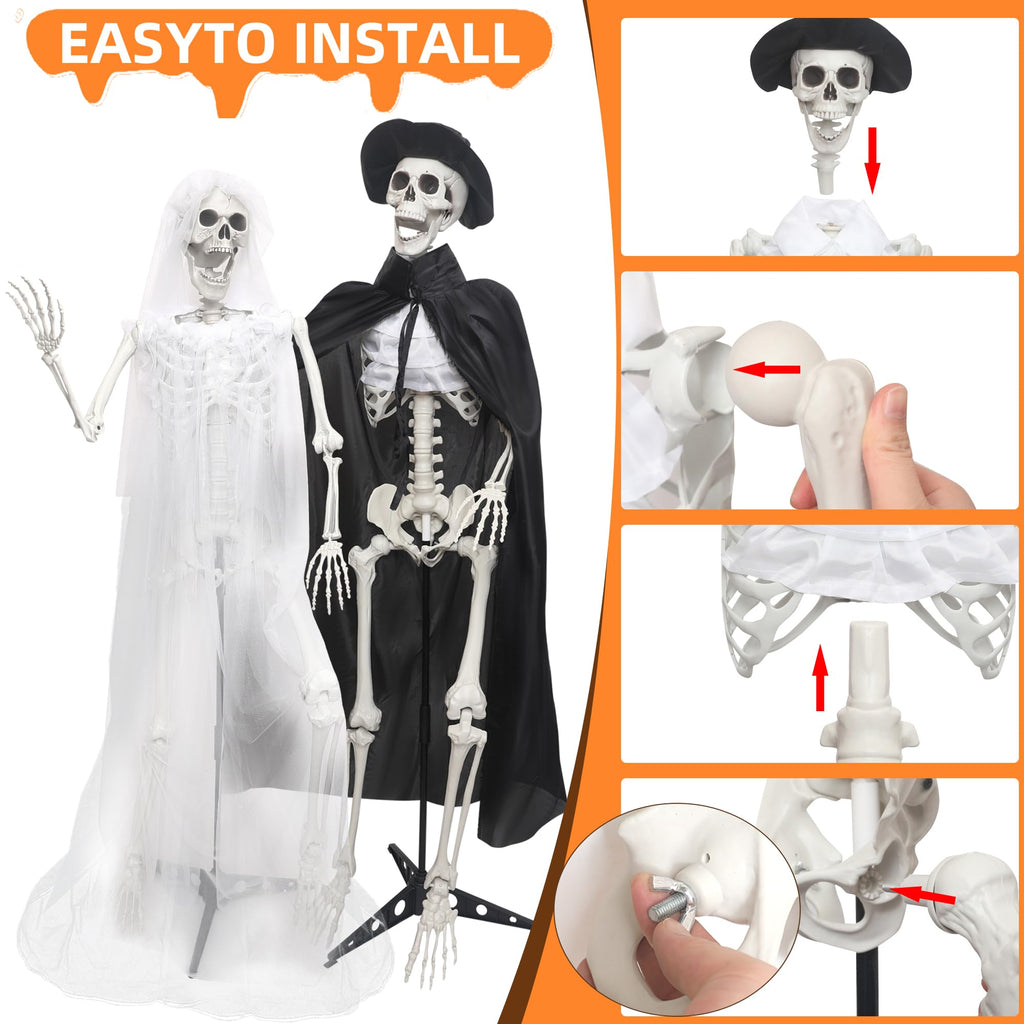 5.4Ft Life Size Skeletons with Stand Y2400