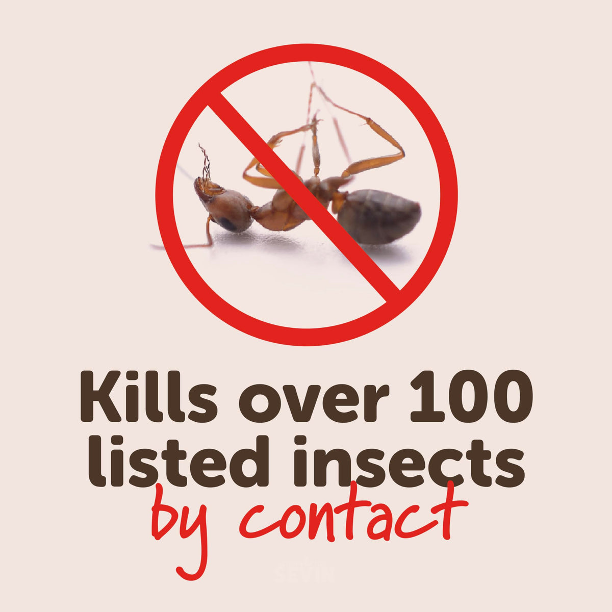 Garden Insect Killer Granules P229500