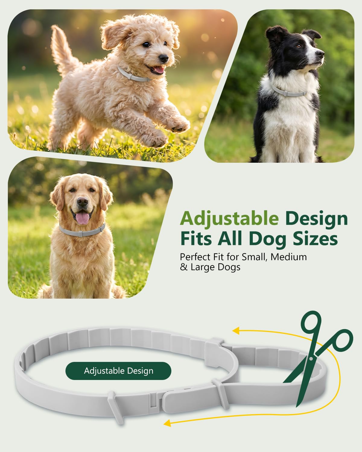 4 Pack Adjustable Waterproof Flea & Tick Dog Collar W4481