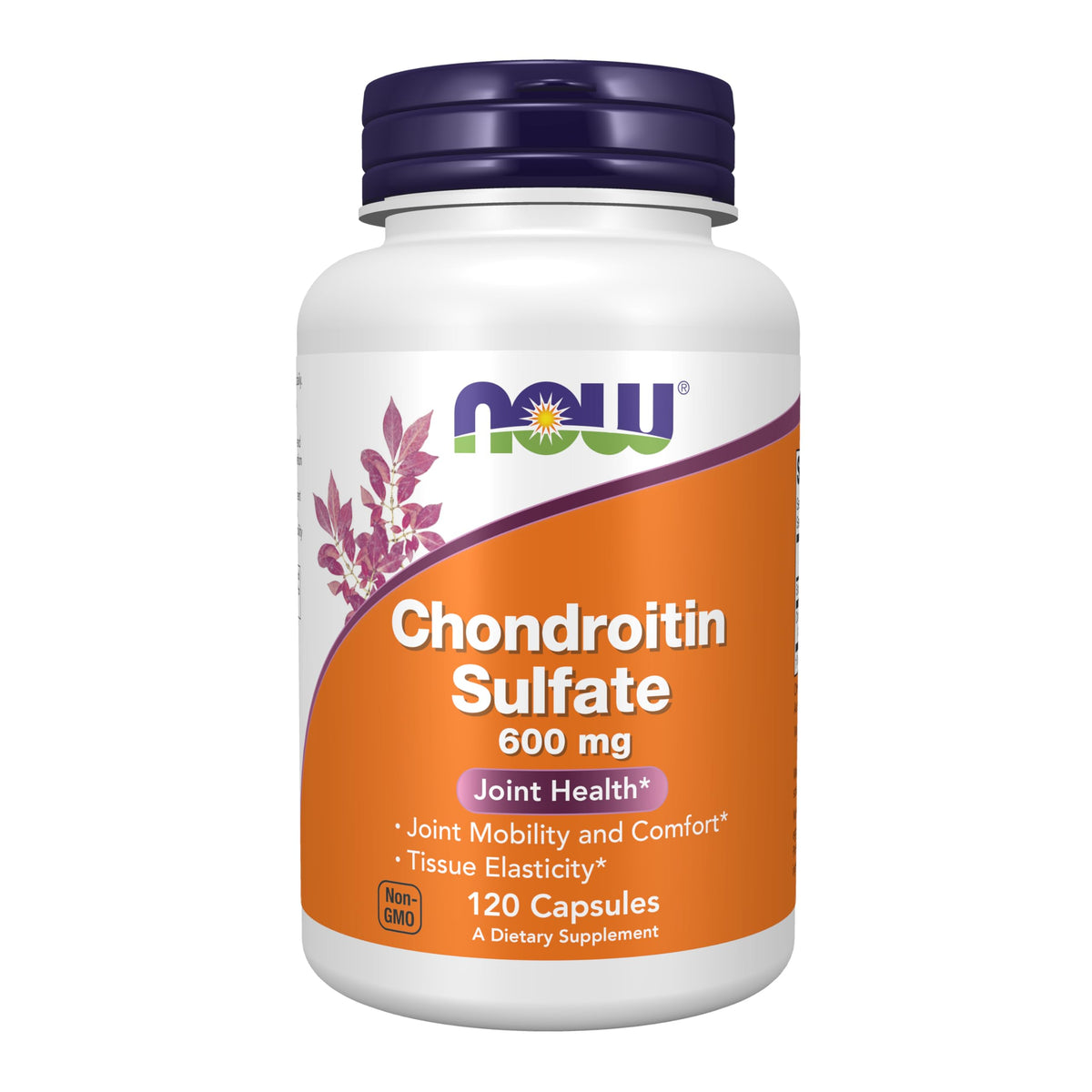Chondroitin Sulfate 600 mg 120 Caps A49914