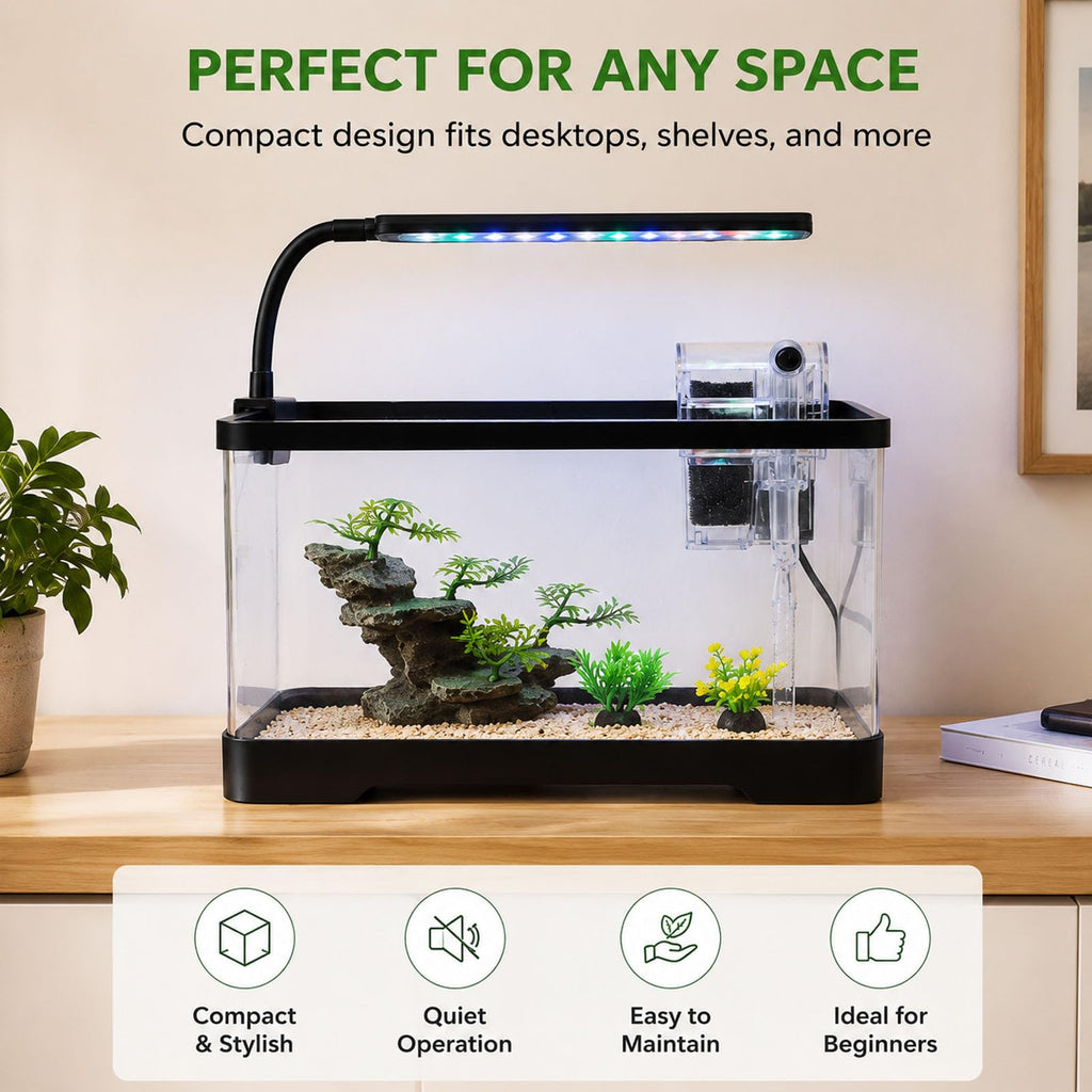 3 Gallon Fish Tank Starter Kit E573364