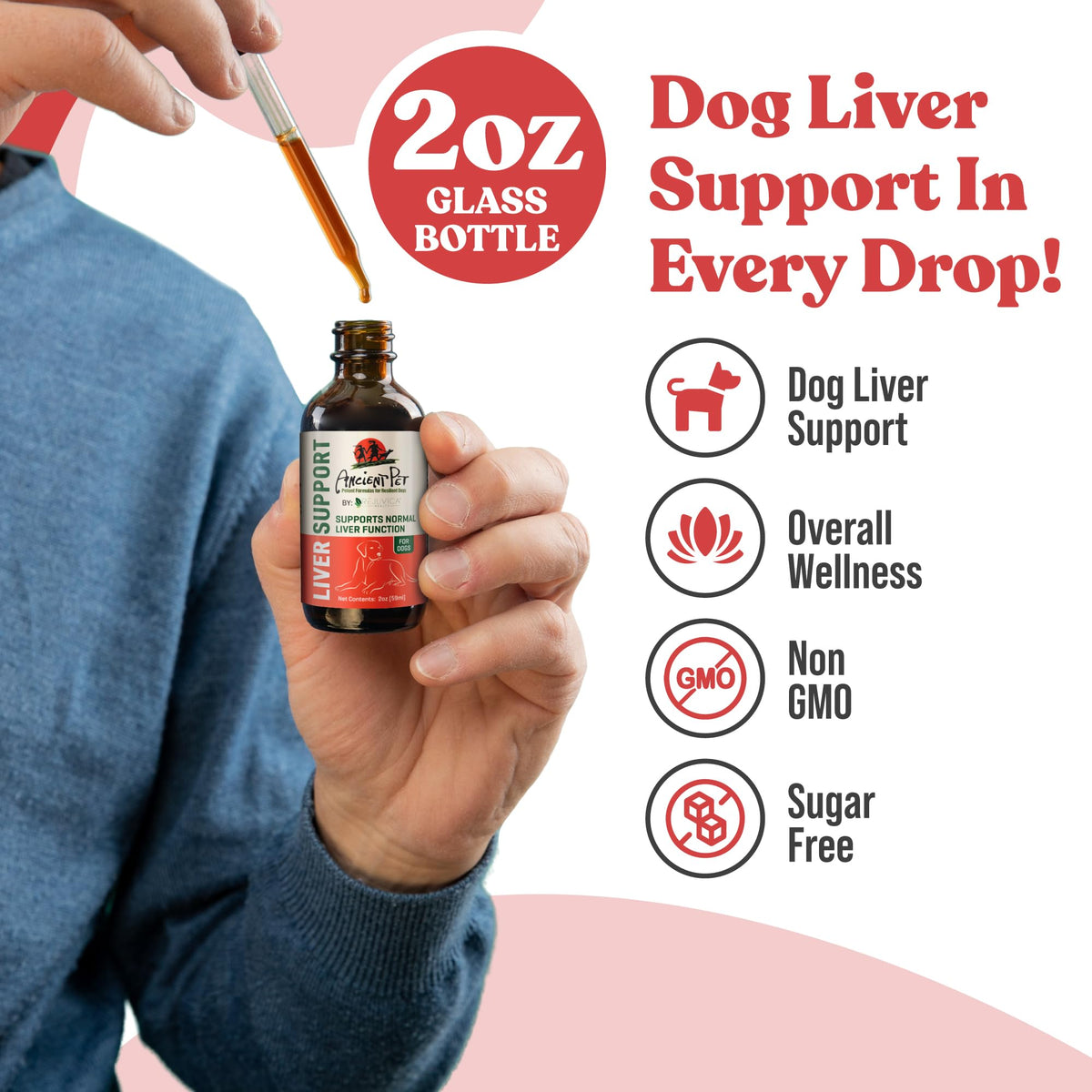Milk Thistle & Dandelion Pet Liver Support Supplement B4847