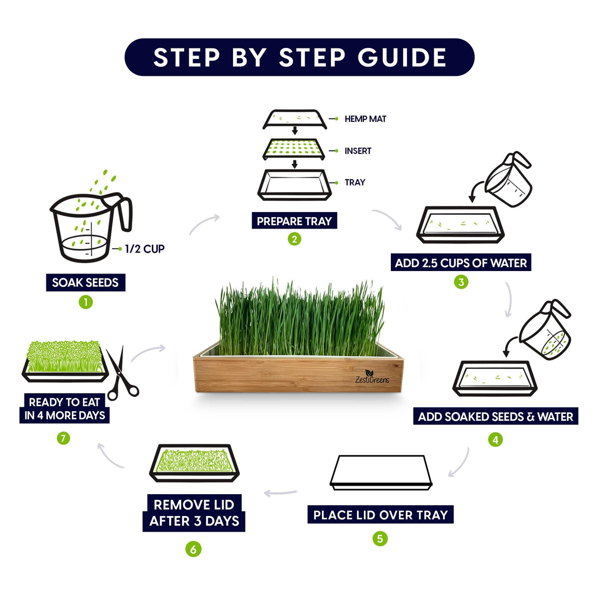 Self-Watering Cat Grass Kit and Refills, 4 Mats and 4 Seed Packets X6573
