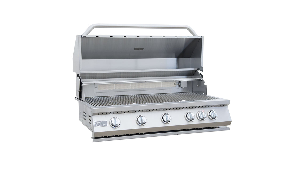 5 Burner Built-In Stainless Steel Propane Gas Grill with Back Burner W53664