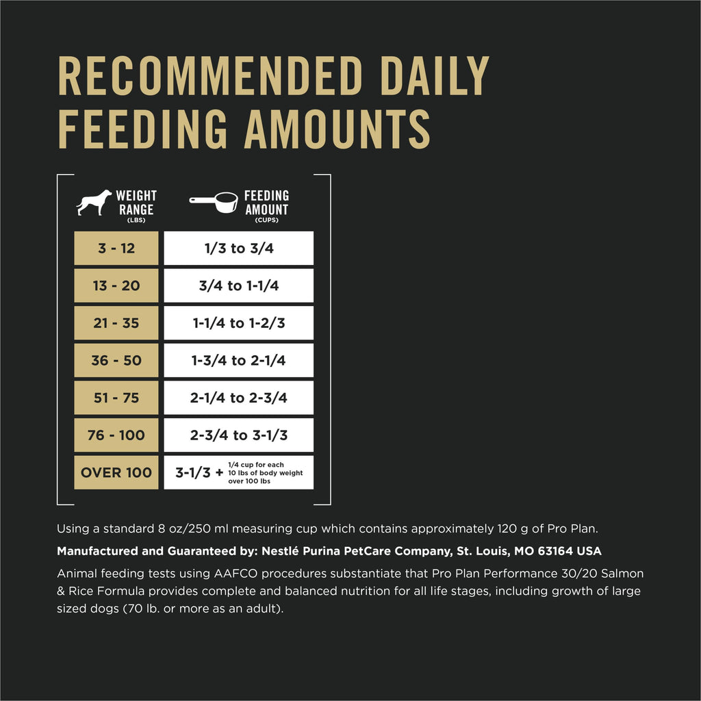 Salmon High Protein Dry Dog Food J86994
