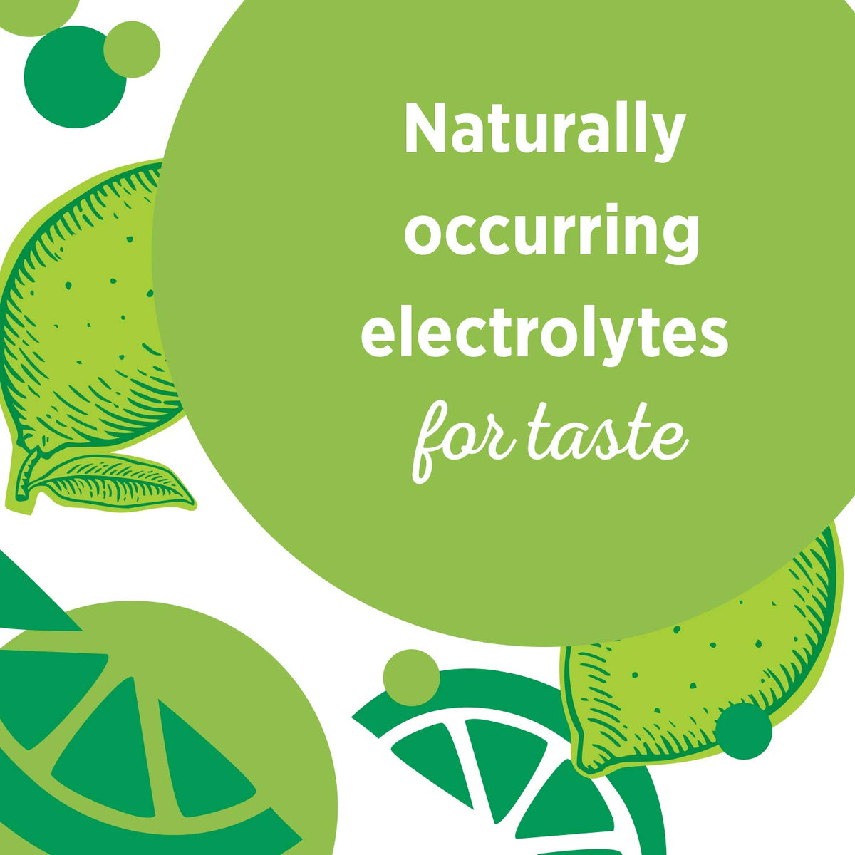 Sparkling Water Zesty Lime 16.9 Fl Oz (Pack of 8) U607255