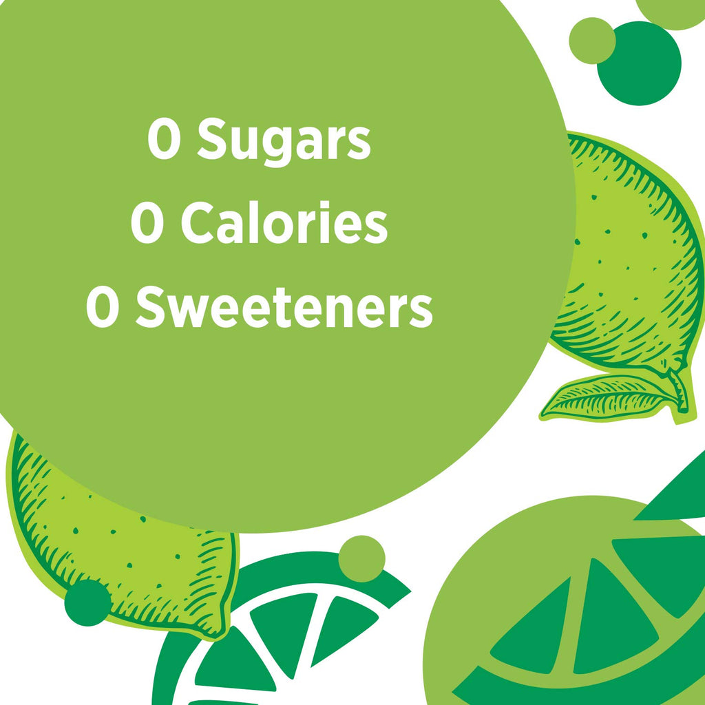 Sparkling Water Zesty Lime 16.9 Fl Oz (Pack of 8) U607255