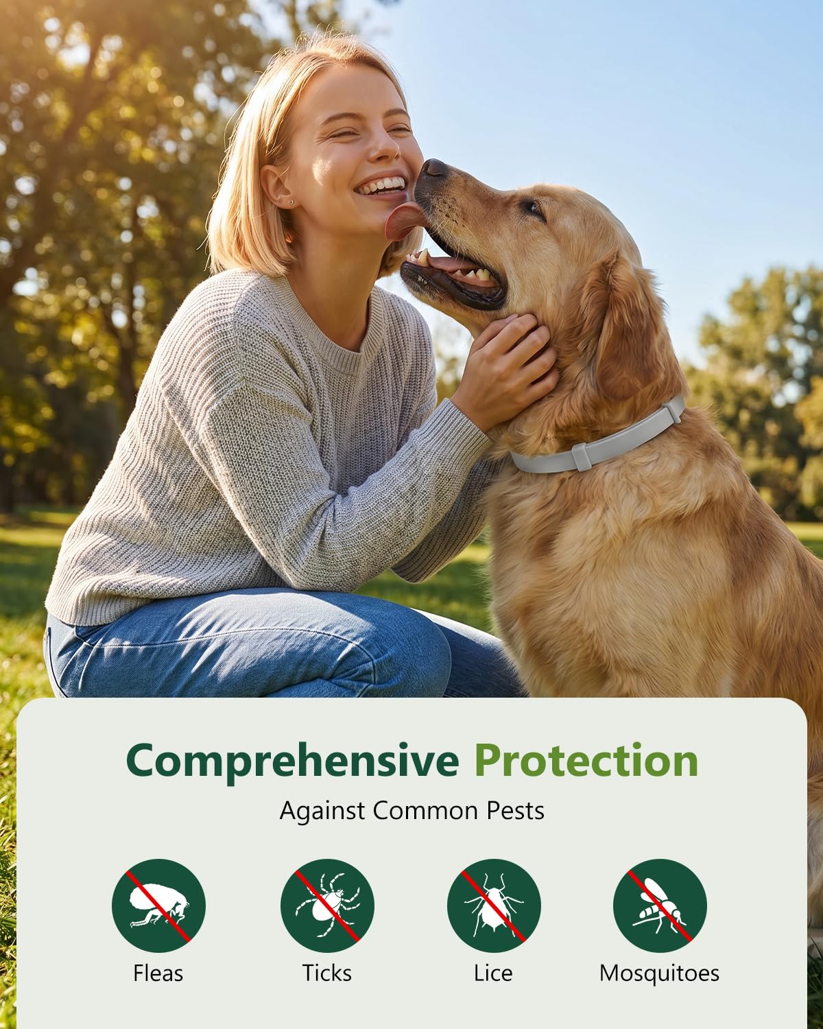 4 Pack Adjustable Waterproof Flea & Tick Dog Collar W4481