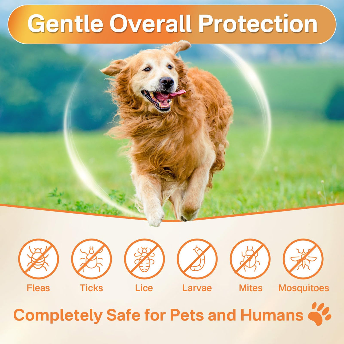 Flea and Tick Prevention for Dogs Chew F8758