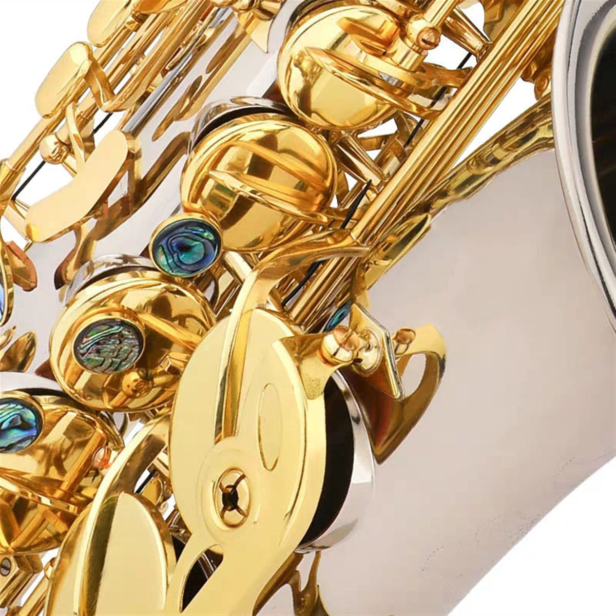 E Flat Alto Saxophone Wind Instrument S403119
