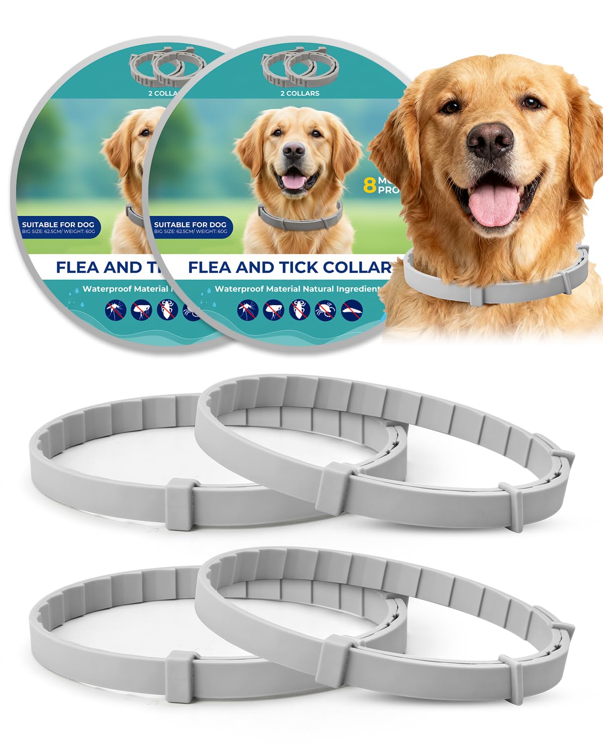 4 Pack Adjustable Waterproof Flea & Tick Dog Collar W4481