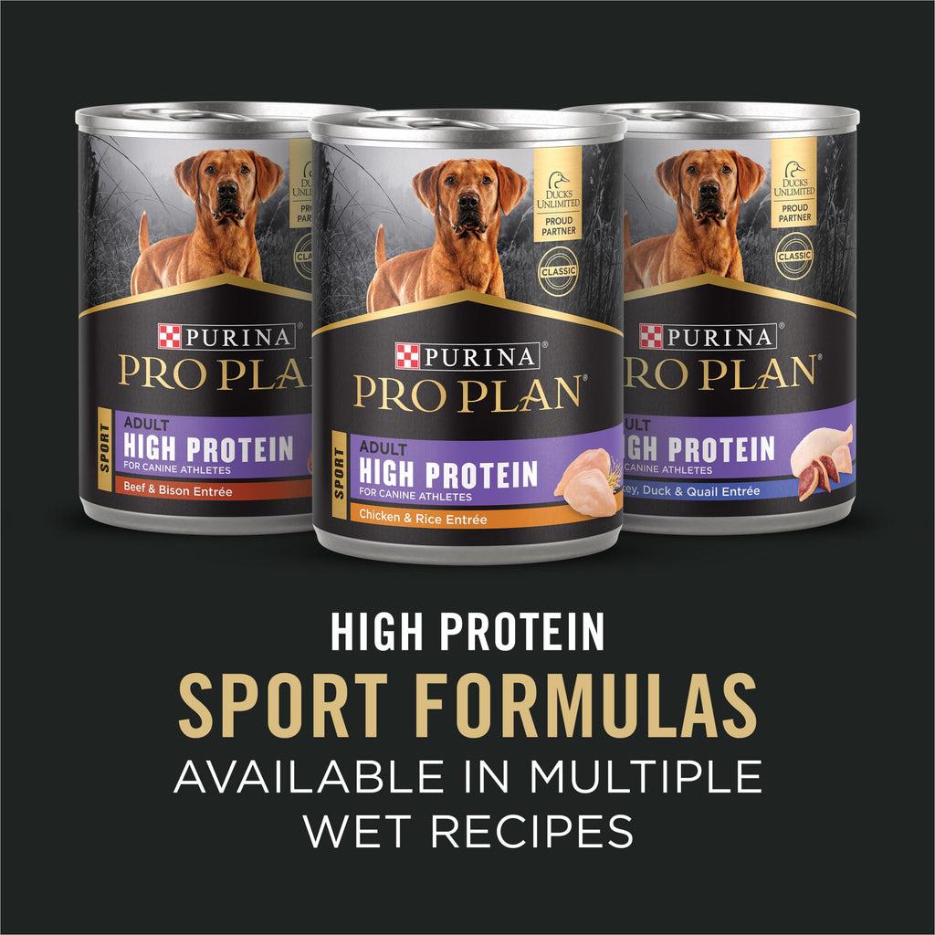 Salmon High Protein Dry Dog Food J86994