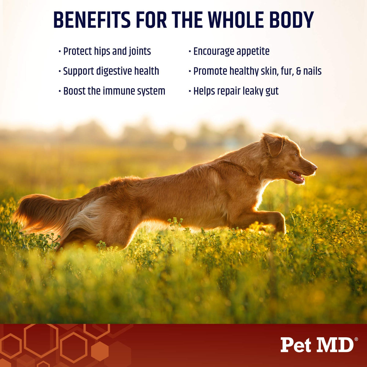 Bone Broth Powder Supplement & Peanut Butter Flavor Pill Paste T5346