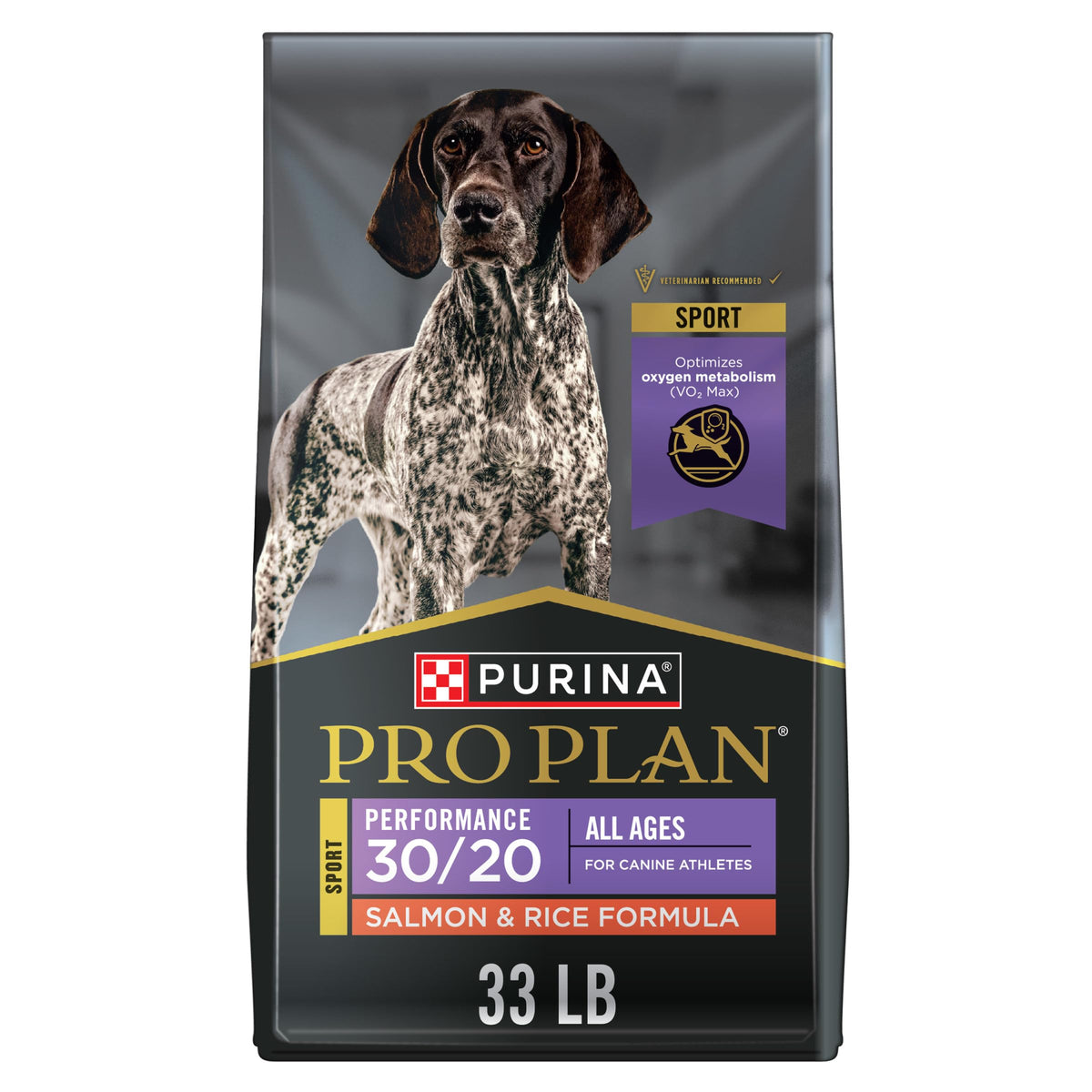 Salmon High Protein Dry Dog Food J86994