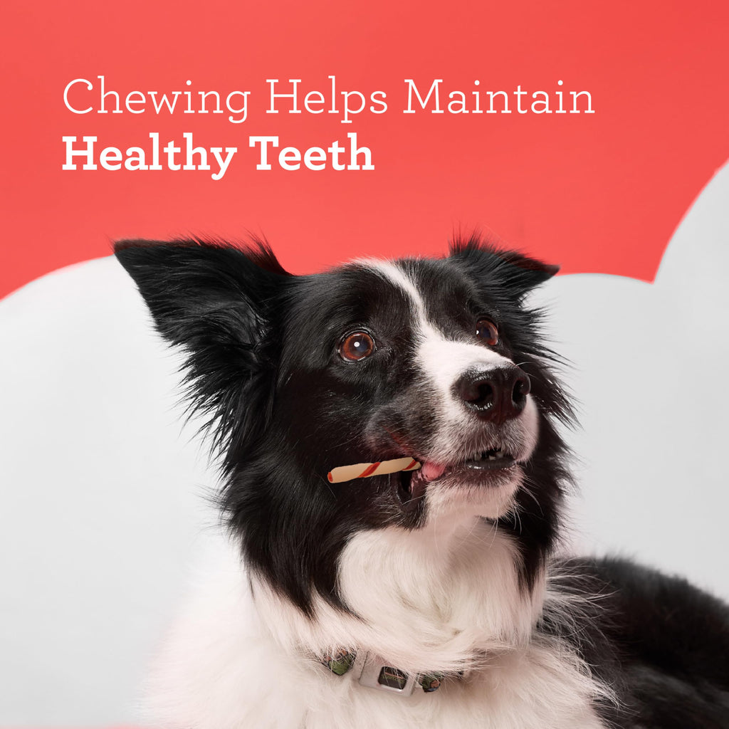 Rawhide-Free Dog Treats With Real Protein, 50 Count Q970260