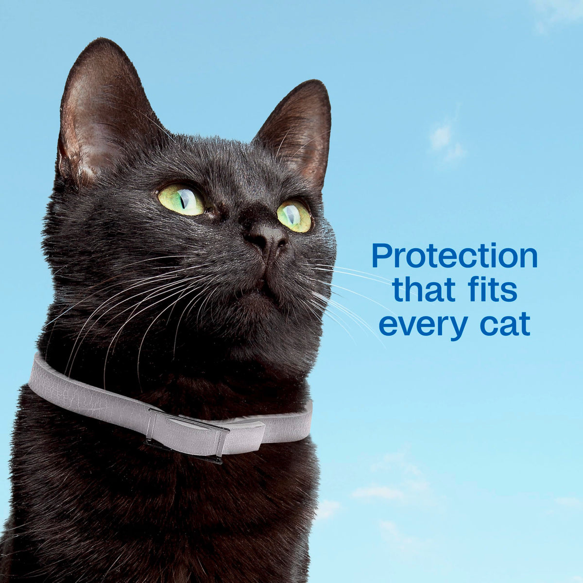 Adjustable Flea & Tick Collar for Cats Q254845
