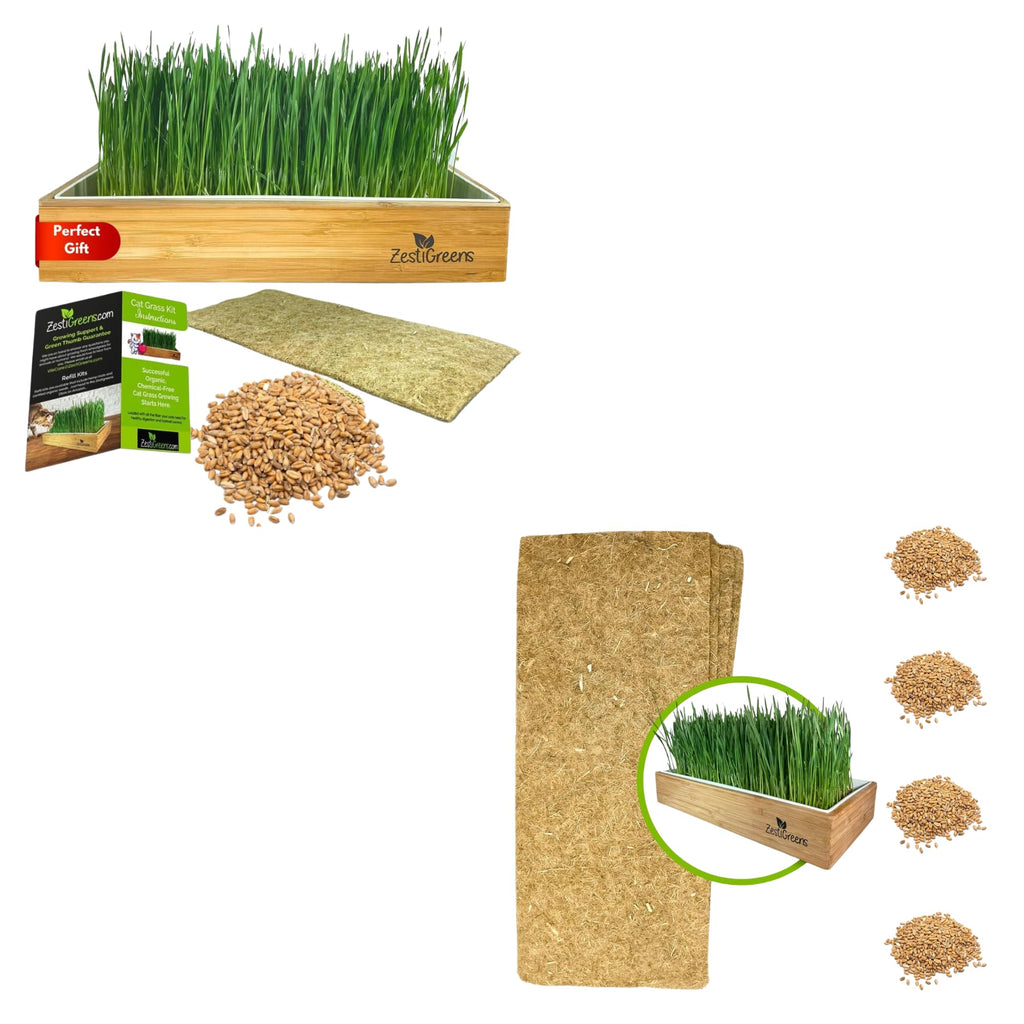 Self-Watering Cat Grass Kit and Refills, 4 Mats and 4 Seed Packets X6573