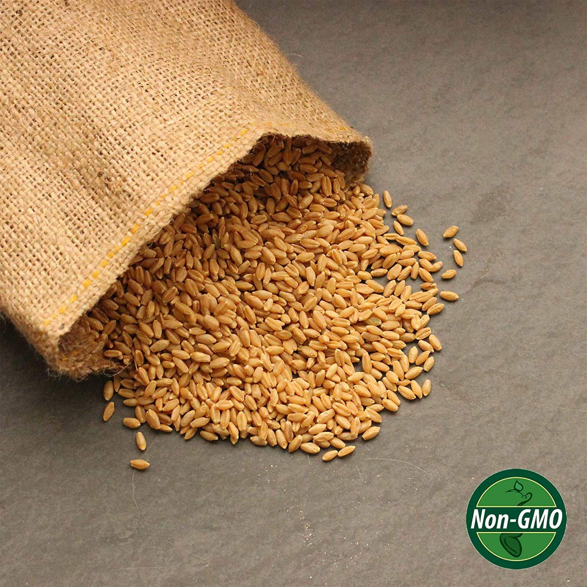 Organic Whole Wheat Kernels 2.5 Lb Non-GMO Hard White R585952