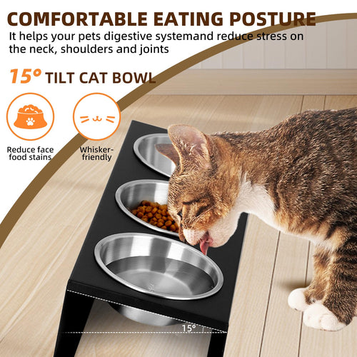 15° Tilted Stainless Steel Cat Bowls 3 Pack M85445