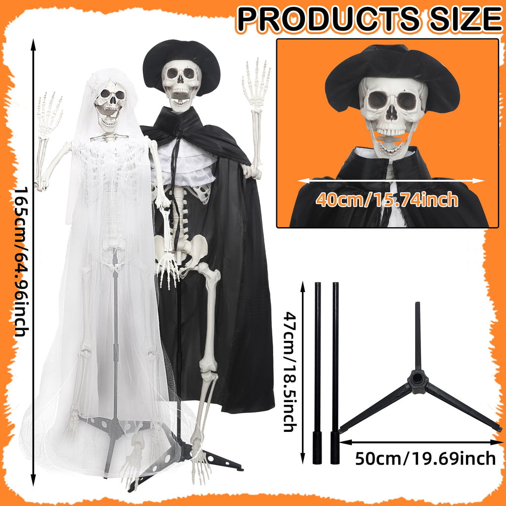 5.4Ft Life Size Skeletons with Stand Y2400