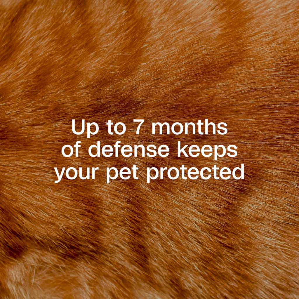 Adjustable Flea & Tick Collar for Cats Q254845