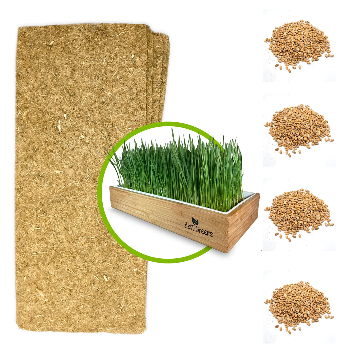 Self-Watering Cat Grass Kit and Refills, 4 Mats and 4 Seed Packets X6573