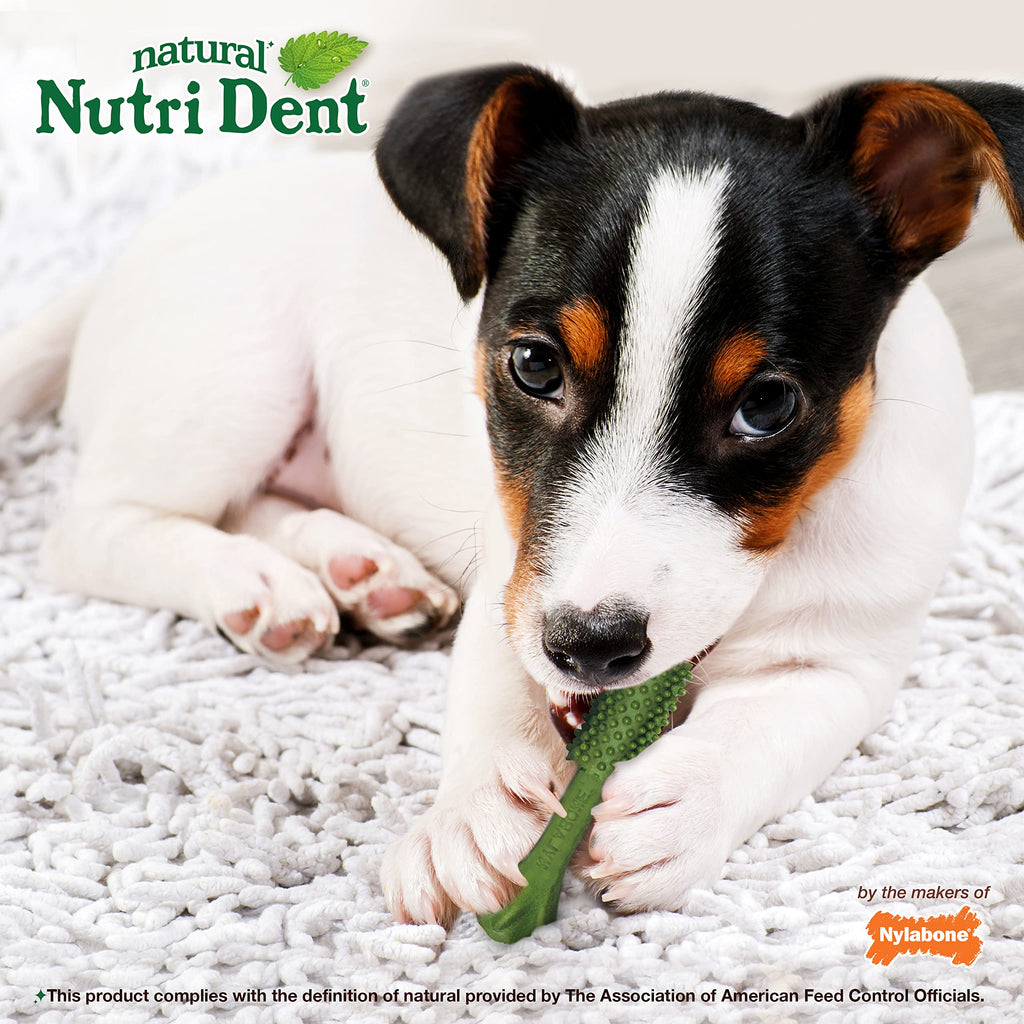 Natural Dog Dental Chews, Small 28 Count G95060